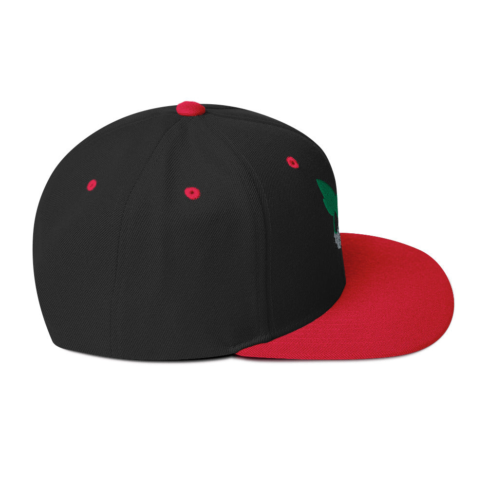 Deku Snapback Hat (My Hero Academia)