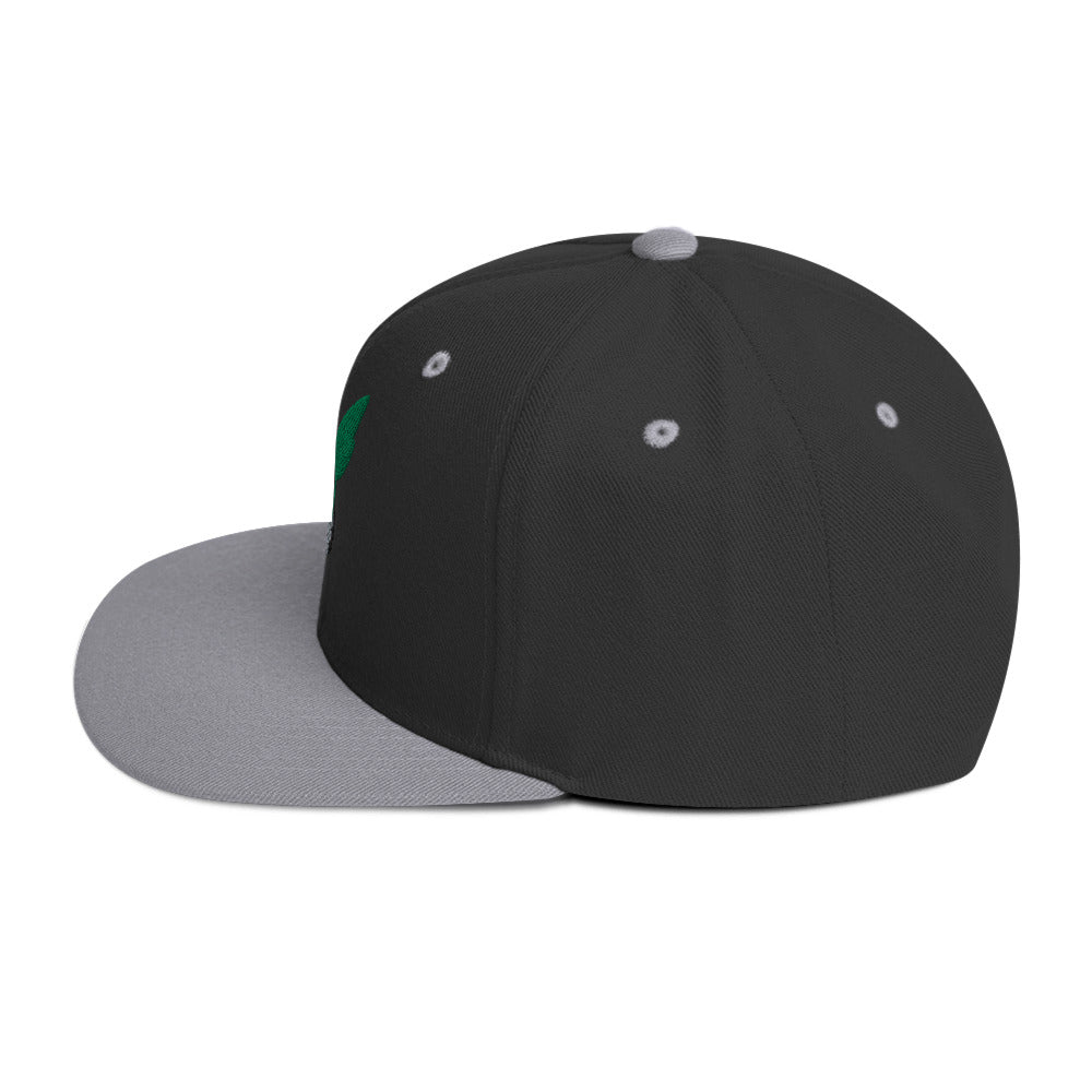 Deku Snapback Hat (My Hero Academia)