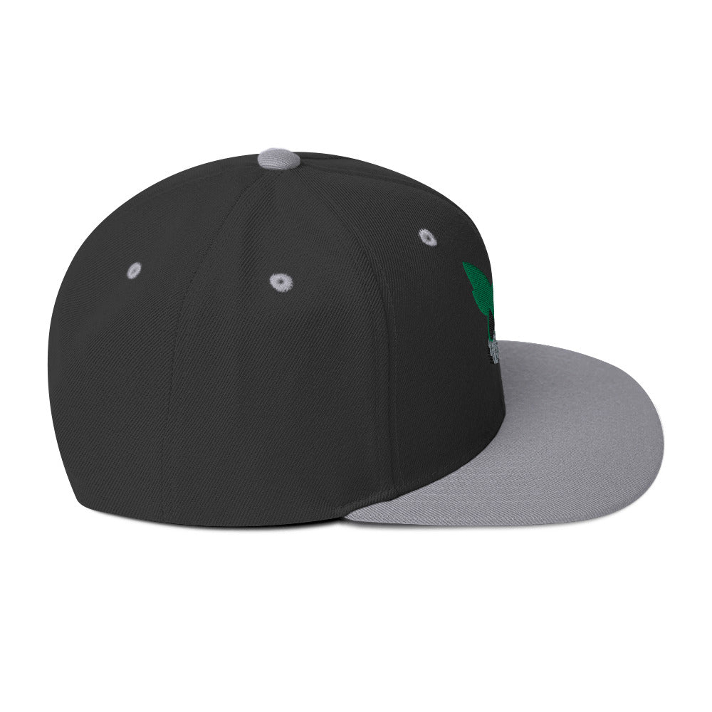 Deku Snapback Hat (My Hero Academia)