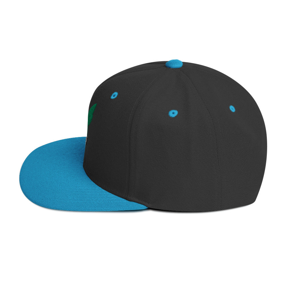 Deku Snapback Hat (My Hero Academia)