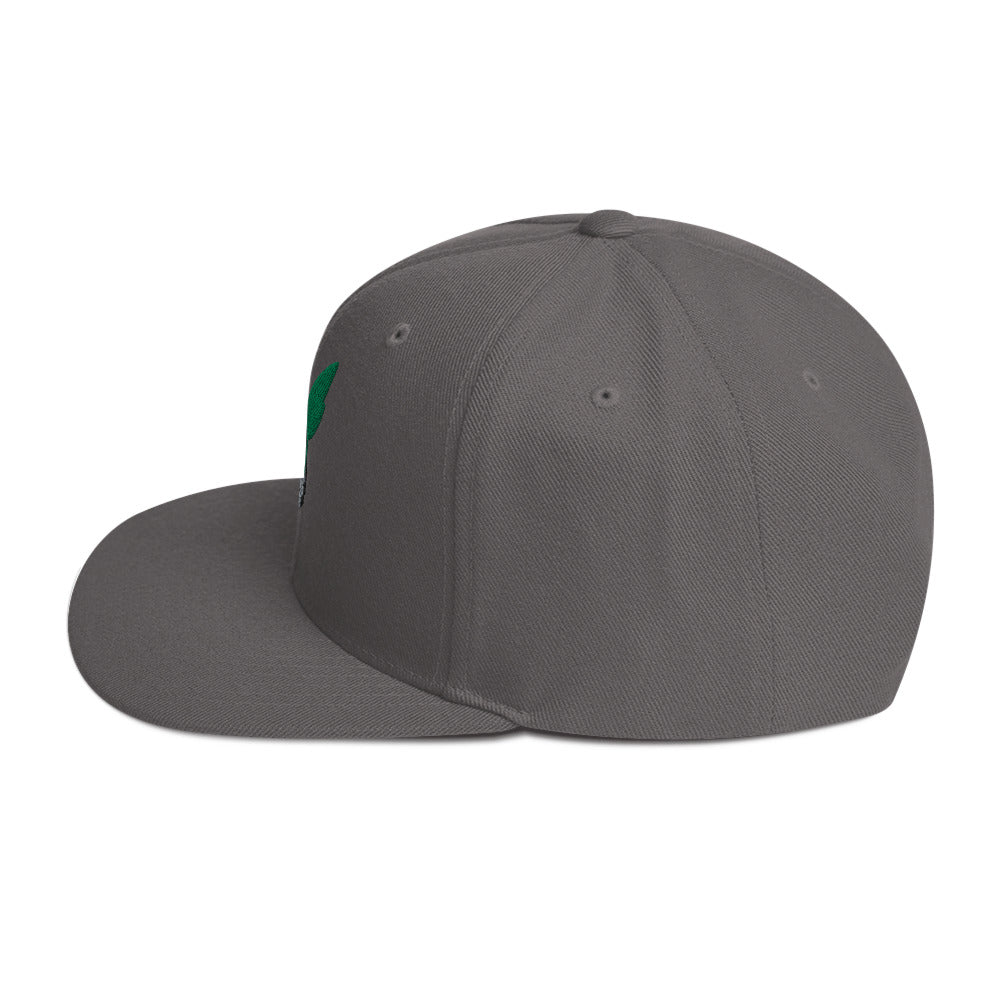 Deku Snapback Hat (My Hero Academia)