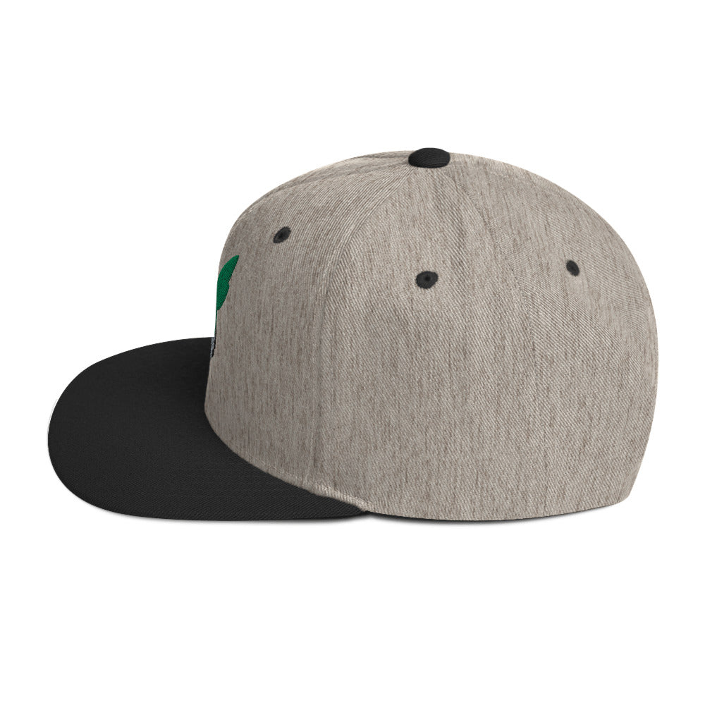 Deku Snapback Hat (My Hero Academia)