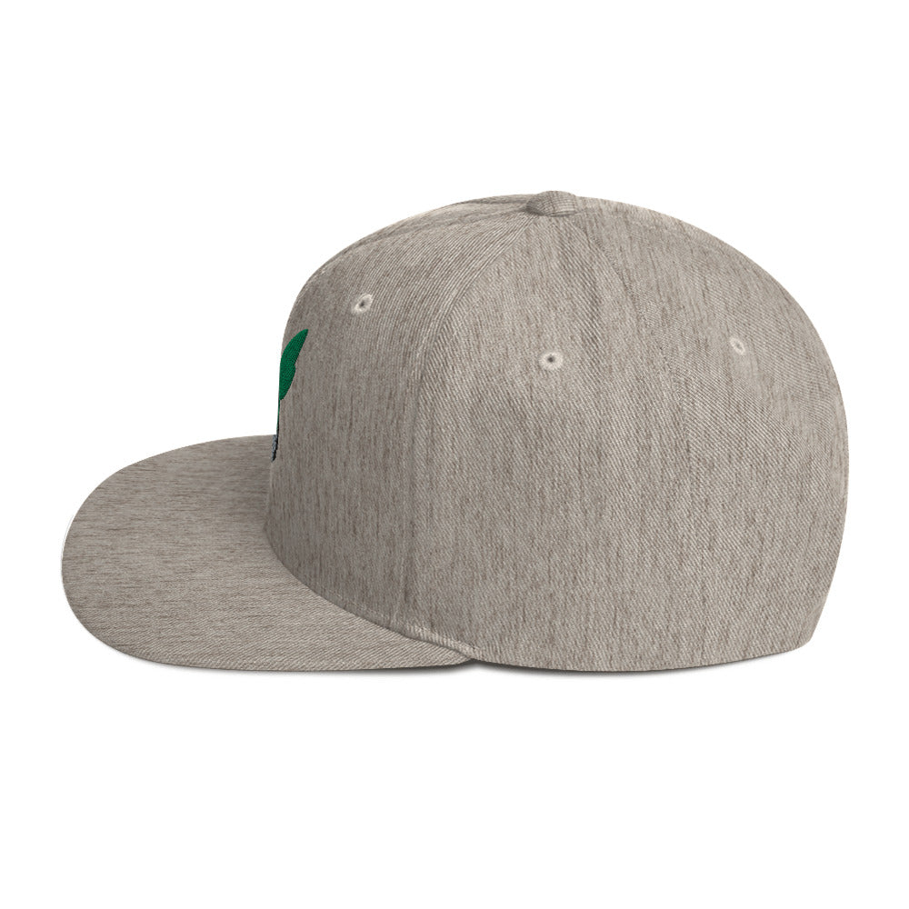 Deku Snapback Hat (My Hero Academia)