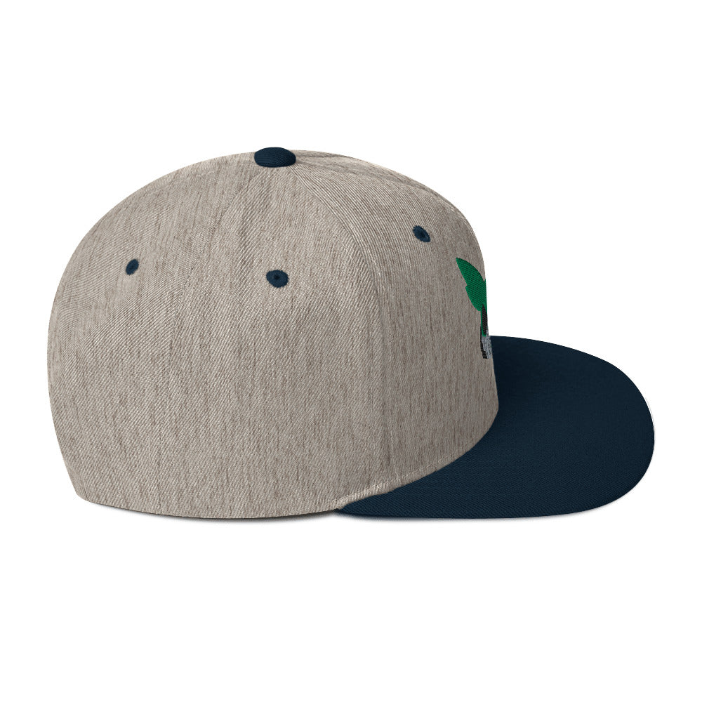 Deku Snapback Hat (My Hero Academia)