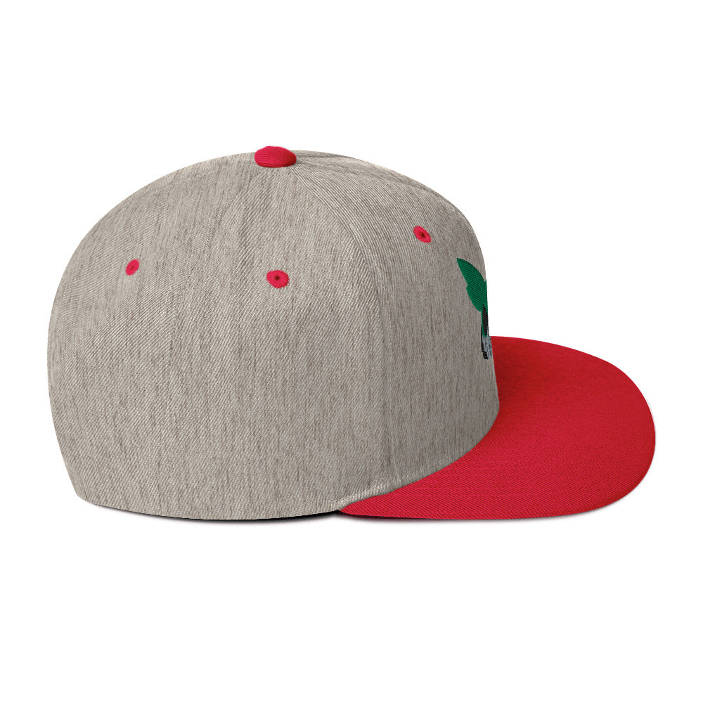 Deku Snapback Hat (My Hero Academia)