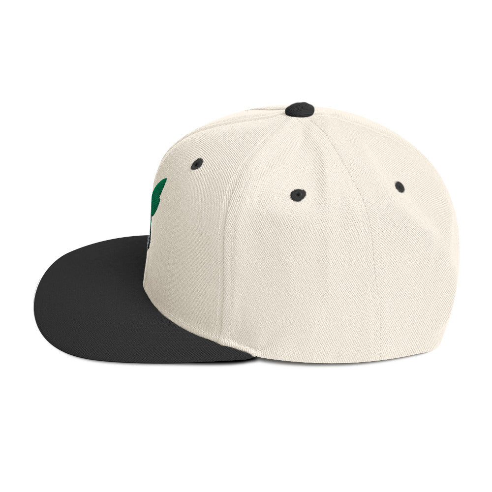 Deku Snapback Hat (My Hero Academia)