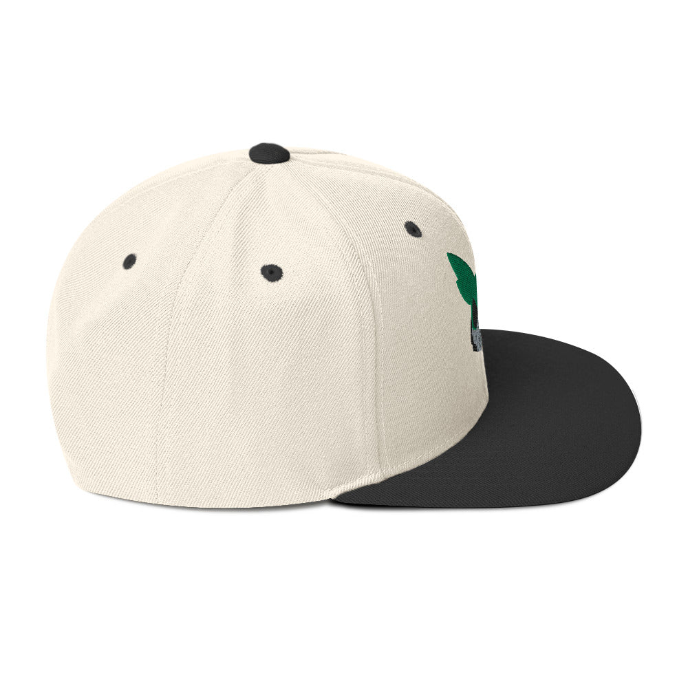 Deku Snapback Hat (My Hero Academia)