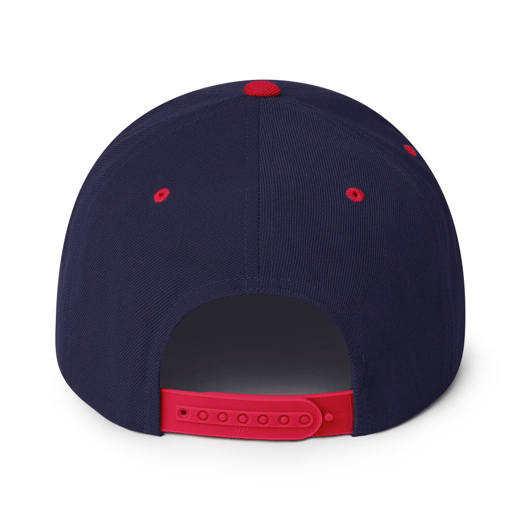 Todoroki Snapback Hat (My Hero Academia)