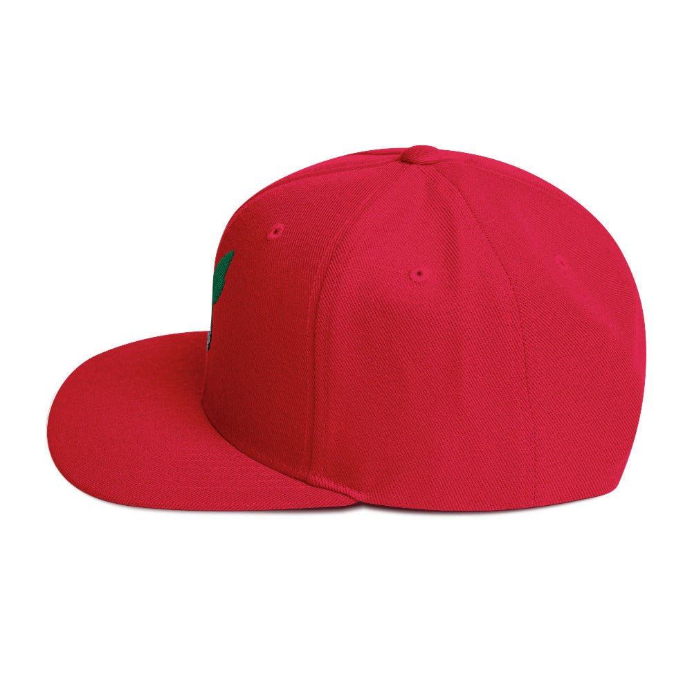 Deku Snapback Hat (My Hero Academia)