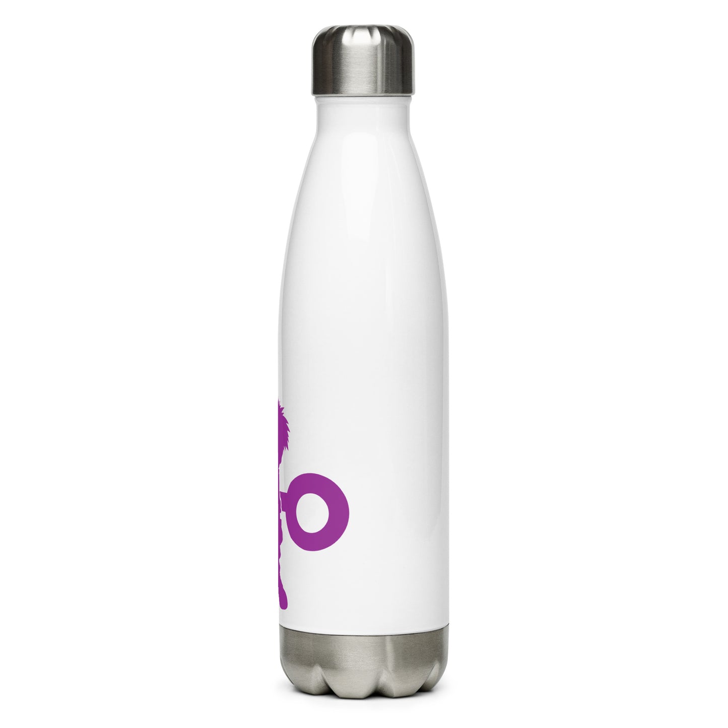 Koushiro (Izzy) Stainless steel water bottle (Digimon)